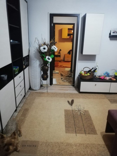 Podu de Piatra- apartament 2 cam, bloc fara risc seismic 