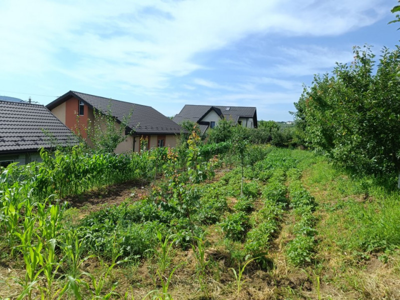 Casa 4 camere, garaj, 1424mp teren - mobilata si utilata