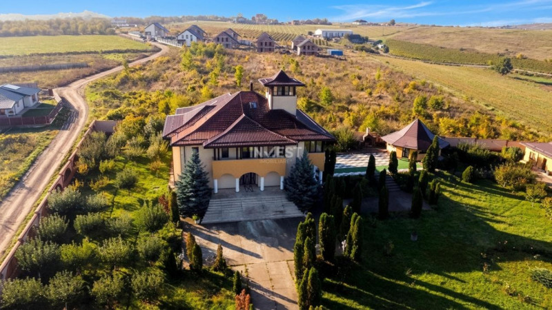 Proprietate Unică de Vânzare în Vișani, Iași – Reședință și Investiție Turistică