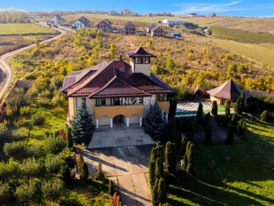 Proprietate Unică de Vânzare în Vișani, Iași – Reședință și Investiție Turistică