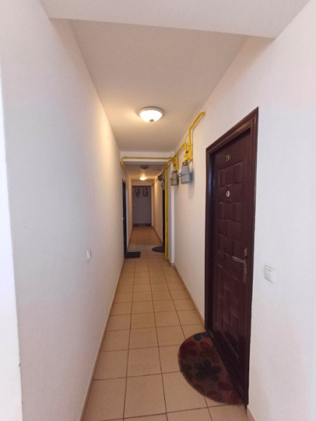 Apartament 1 cameră - Socola - 300 euro 