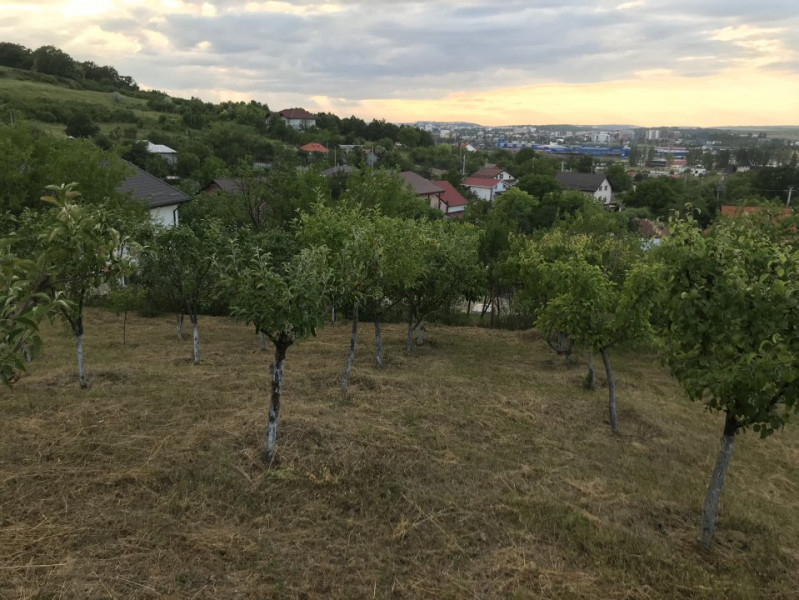 CASA CU 3 CAMERE IN VLADICENI  1770 MP DE TEREN