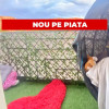 ULTRACENTRAL, PALAS CAMPUS - APARTAMENT 2 CAMERE 