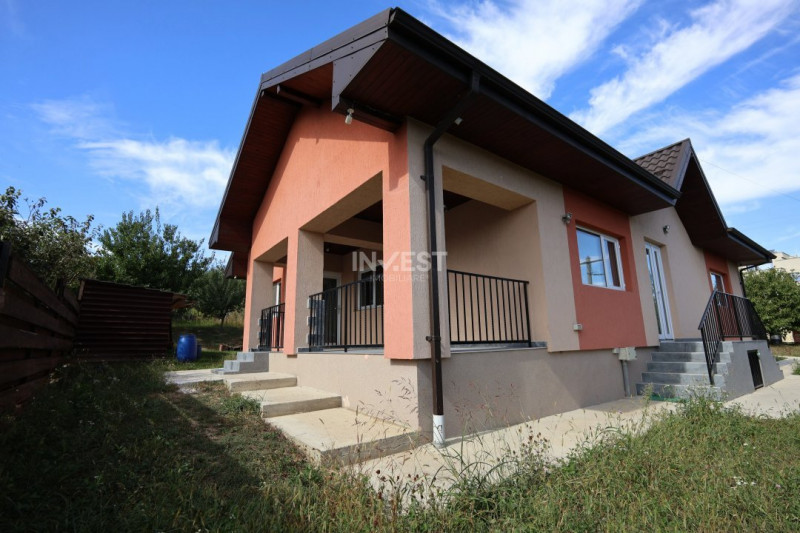 Casa de vanzare, parter 4 camere, garaj, 1424mp teren - Bucium- Vișani, IASI