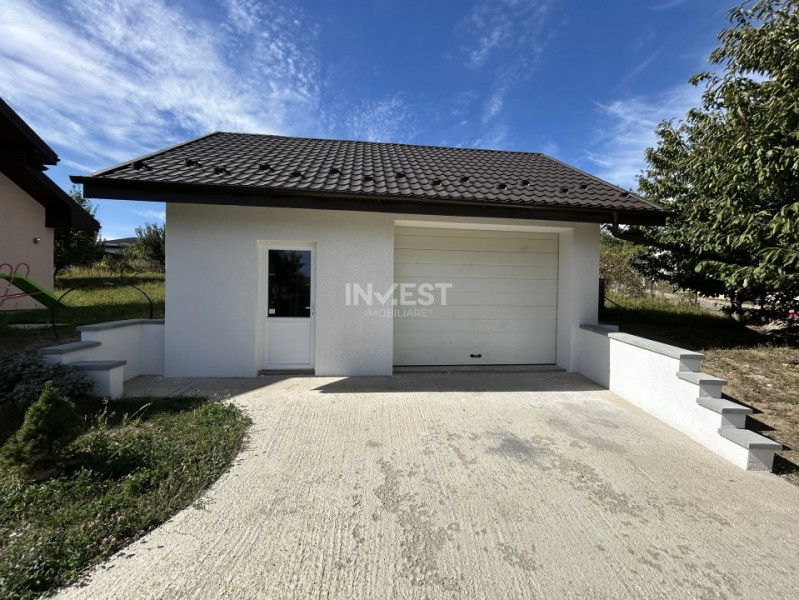Casa de vanzare, parter 4 camere, garaj, 1424mp teren - Bucium- Vișani, IASI