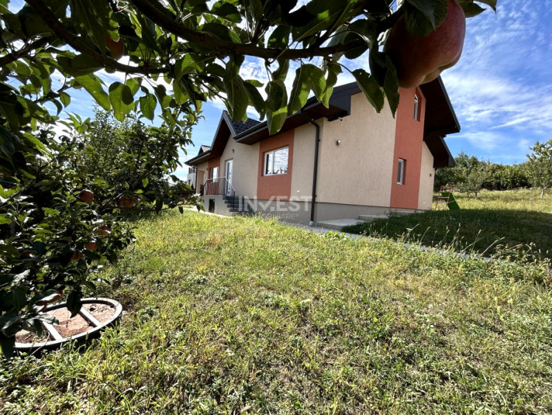 Casa de vanzare, parter 4 camere, garaj, 1424mp teren - Bucium- Vișani, IASI