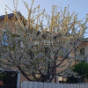 CASA CU 3 CAMERE  , VALEA LUPULUI 