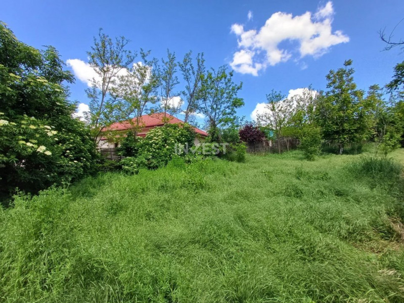 TEREN INTRAVILAN , LANGA PRIMARIA REDIU , 602 MP 