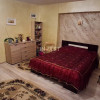 Apartament de vanzare 1 camera, zona Moara de Foc, Iasi