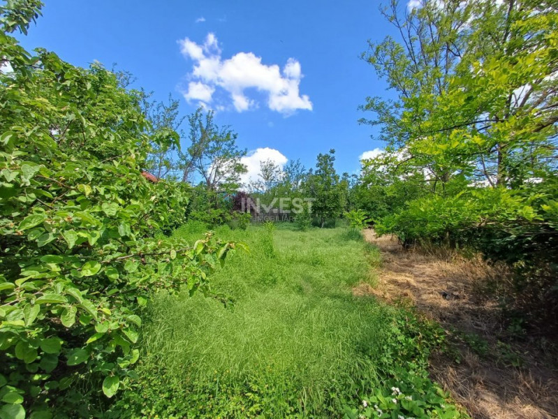 TEREN INTRAVILAN, 602 MP, REDIU