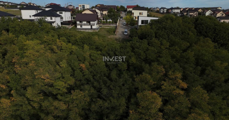 Casă P+1 cu PADURE Valea Lupului-Iași