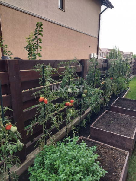 Casa 4C Valea Lupului-Iași