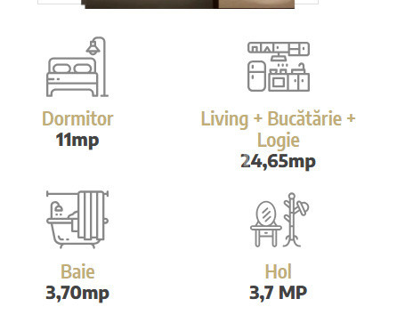 APARTAMENT 2 CAMERE, OPEN-SPACE, VISOIANU , INTABULAT, MUTARE RAPIDA