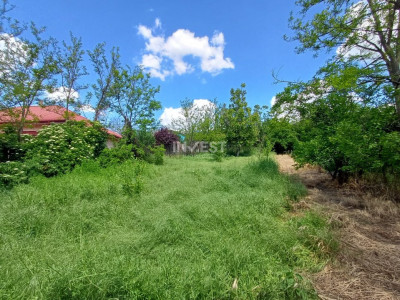 TEREN INTRAVILAN, 602 MP, REDIU