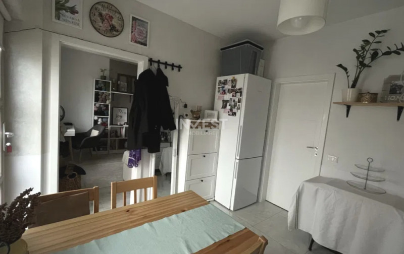 Apartament 1 camera cu gradina Popas Pacurari, Iasi