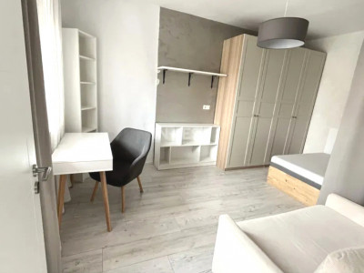 Apartament 1 camera cu gradina Popas Pacurari, Iasi