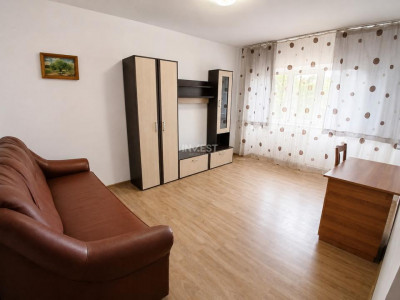 Apartament 2 camere de inchiriat zona Podu de Fier 