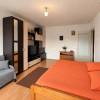 Apartament decomandat cu 1 cameră în Nicolina 1
