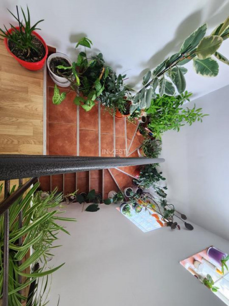 CASA INDIVIDUALA, 4 CAMERE, 2 BAI, 440 MP TEREN - VISOIANU