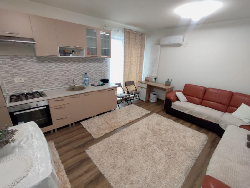 Penthouse cu 2 camere si 2 terase , 550 euro - Nicolina