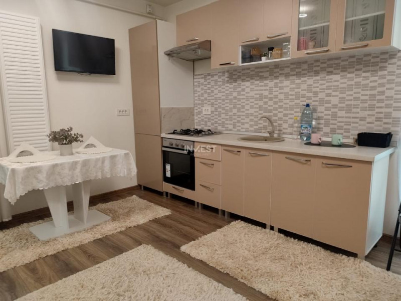 Penthouse cu 2 camere si 2 terase , 550 euro - Nicolina