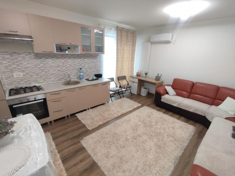 Penthouse cu 2 camere si 2 terase , 550 euro - Nicolina