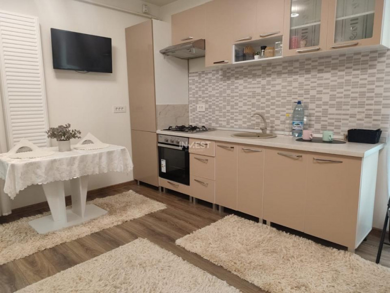 Penthouse cu 2 camere si 2 terase , 550 euro - Nicolina
