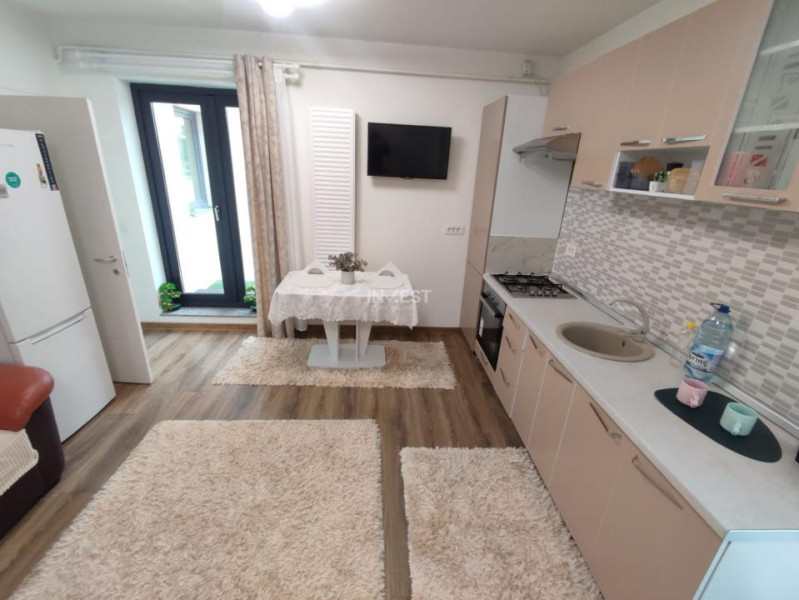 Penthouse cu 2 camere si 2 terase , 550 euro - Nicolina
